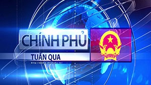 Bản tin Ch&#237;nh phủ tuần qua ng&#224;y 01-01-2022